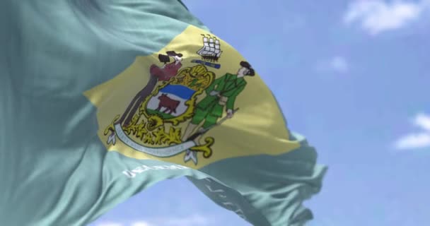 特拉华州的国旗在风中飘扬 特拉华州是美国中大西洋地区的一个州 民主和独立 美国州 慢动作无缝线 — 图库视频影像