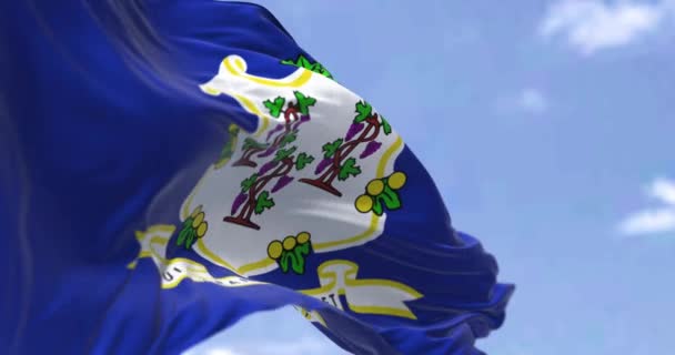 Vlag Van Connecticut Wappert Wind Connecticut Zuidelijkste Staat Van Verenigde — Stockvideo