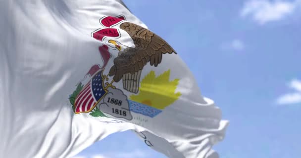 Bendera Negara Bagian Illinois Mengibarkan Angin Illinois Adalah Sebuah Negara — Stok Video