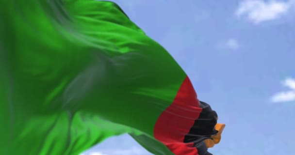 Açık Bir Günde Rüzgarda Sallanan Zambiya Bayrağının Ayrıntıları Zambiya Orta — Stok video