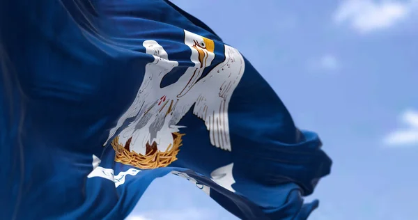 Σημαία Της Λουιζιάνα Κυματίζει Στον Άνεμο Λουιζιάνα Είναι Μια Πολιτεία — Φωτογραφία Αρχείου