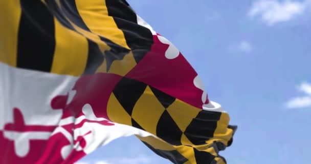 메릴랜드주의 국기가 바람에 흔들렸습니다 메릴랜드주 Maryland 대서양 연안의 미국의 주이다 — 비디오