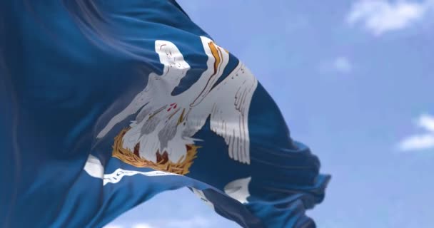 美国路易斯安那州的国旗在风中飘扬 路易斯安那州是美国南部和中南部地区的一个州 民主和独立 慢动作无缝线 — 图库视频影像