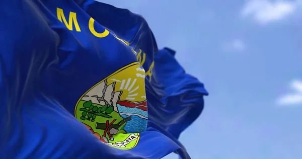 Bandeira Estado Americano Montana Acenando Vento Montana Uma Região Censo — Fotografia de Stock
