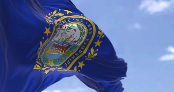 新罕布什尔州的国旗在风中飘扬 — 图库视频影像