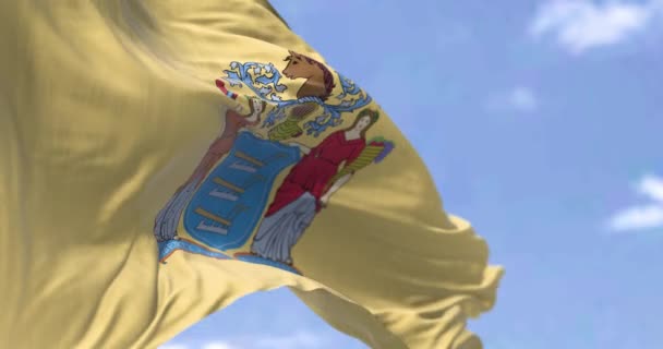 Die Flagge Des Bundesstaates New Jersey Weht Wind New Jersey — Stockvideo