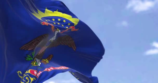 Americká Státní Vlajka Severní Dakoty Vlnící Větru Severní Dakota Americký — Stock video
