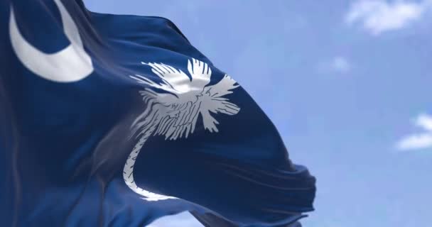 Amerikaanse Vlag Van South Carolina Wappert Wind South Carolina Een — Stockvideo