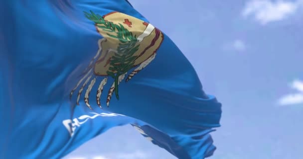 美国俄克拉荷马州的国旗在风中飘扬 俄克拉荷马州是美国中南部的一个州 民主和独立 无缝圈慢动作 4K分辨率 — 图库视频影像