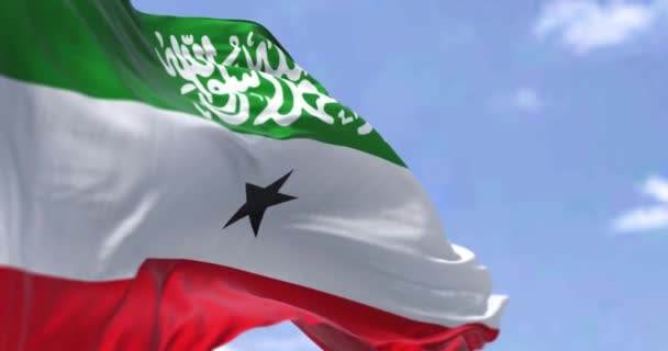 一边是在风中飘扬的索马里兰国旗的近景 在背景上有一个晴朗的天空 爱国主义和自豪感未被承认的国家位于非洲之角 有选择的重点 — 图库视频影像