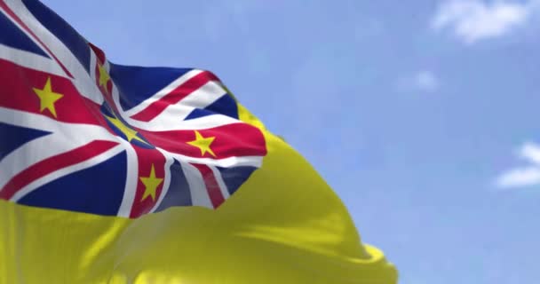 Close View Niue State National Flag Waving Wind Background Clear — ストック動画