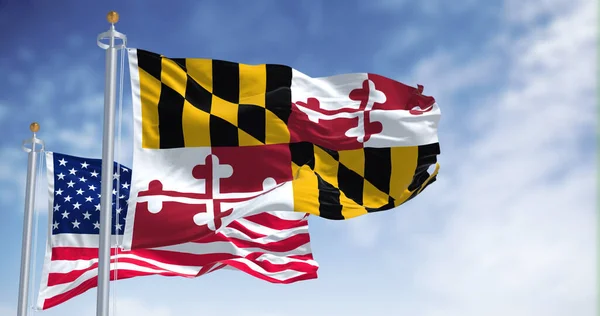 Die Flagge Des Bundesstaates Maryland Weht Zusammen Mit Der Nationalflagge — Stockfoto