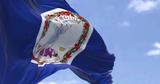 State Flag Virginia Waving Wind Virginia State Mid Atlantic Southeastern — Vídeo de stock