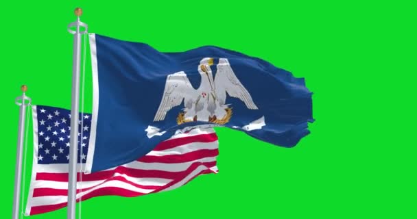 Bendera Negara Bagian Louisiana Melambai Bersama Dengan Bendera Nasional Amerika — Stok Video