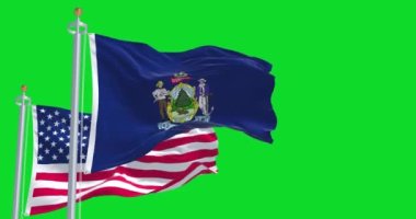 The Maine state flag waving along with the national flag of the United States of America isolated on a green background. Maine is a state in the New England region of the United States
