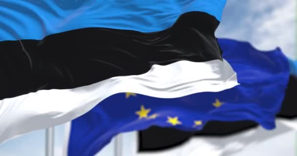 Seamless Slow Motion Loop National Flag Estonia Waving Wind Blurred — Vídeo de stock