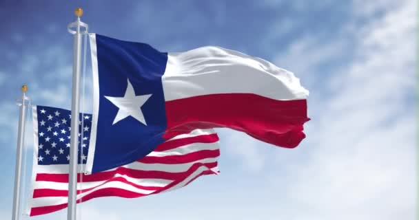 Флаг Штата Техас Размахивающий Вместе Национальным Флагом Соединенных Штатов Америки — стоковое видео