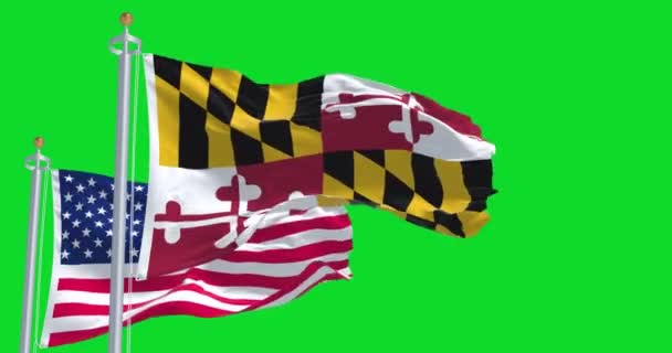 Bendera Negara Bagian Maryland Melambai Bersama Dengan Bendera Nasional Amerika — Stok Video