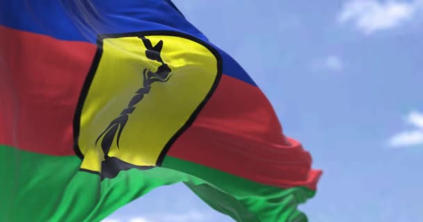Sömlös Loop Slow Motion Nya Kaledoniens Flagga Vinkar Vinden Klar — Stockvideo