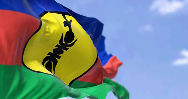 Kaledónia Zászlaja Lobogott Szélben Egy Tiszta Napon Kaledónia Tengerentúli Franciaország — Stock Fotó