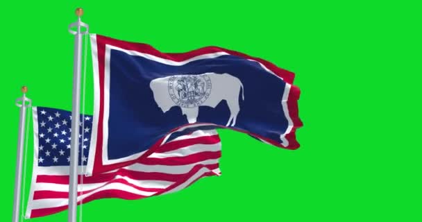 Wyomingská Státní Vlajka Vlající Spolu Národní Vlajkou Spojených Států Amerických — Stock video