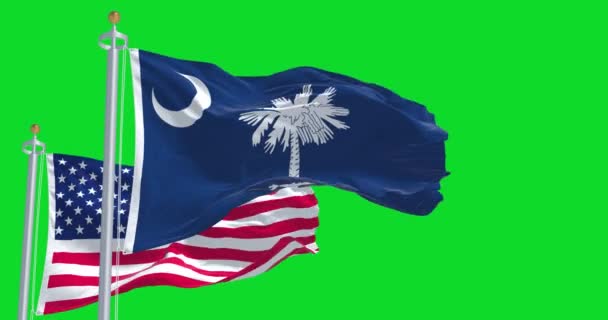 Bandera Del Estado Carolina Del Sur Ondeando Junto Con Bandera — Vídeo de stock