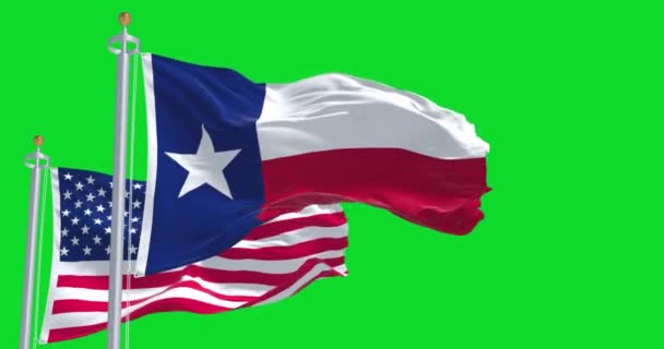 Texas Statliga Flagga Viftar Tillsammans Med Den Nationella Flaggan Usa — Stockvideo