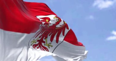 Açık bir günde rüzgarda dalgalanan Brandenburg bayrağıyla kusursuz bir döngü. Brandenburg, Almanya 'nın kuzeydoğusunda bir eyalettir.