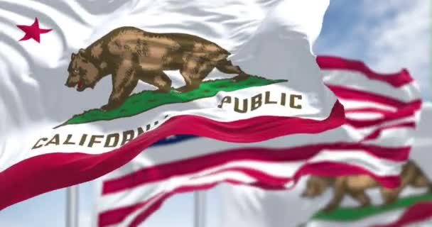 无缝圈慢动作 加利福尼亚州的两面国旗与美利坚合众国国旗同时飘扬 旗子上刻有一只行走的熊和一颗五角红星 — 图库视频影像