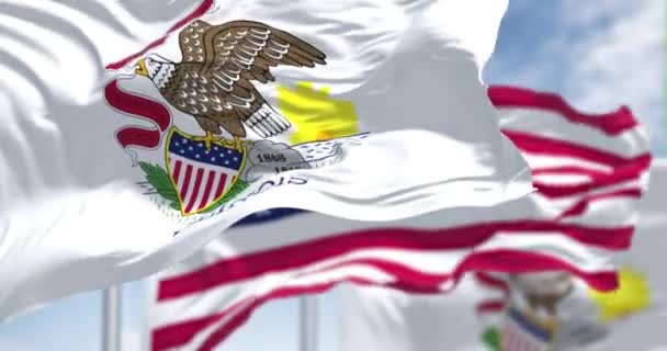 无缝圈慢动作 两面伊利诺伊州的国旗与美利坚合众国国旗一同摇曳 伊利诺伊州是美国中西部地区的一个州 — 图库视频影像