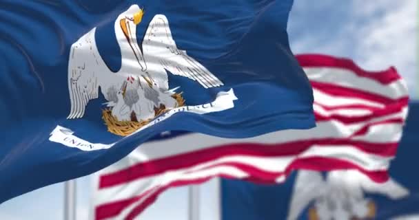 Seamless Loop Slow Motion Two Louisiana State Flags Waving National — Stock Video