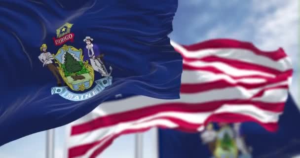无缝圈慢动作 两面缅因州国旗与美利坚合众国国旗一同摇曳 在背景上有一个晴朗的天空 缅因州是美国新英格兰地区的一个州 — 图库视频影像