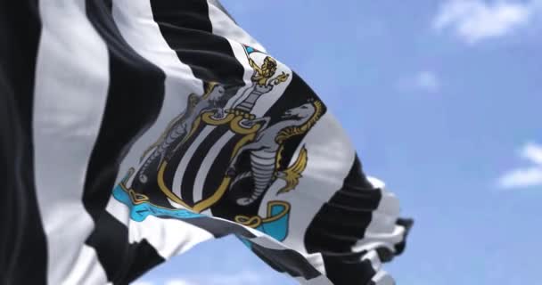 Newcastle Reino Unido Mayo 2022 Bandera Newcastle United Ondeando Viento — Vídeos de Stock