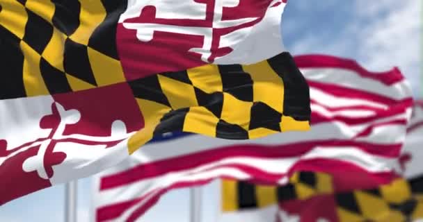2つのメリーランド州旗がアメリカ合衆国の国旗と共に振っており 動きが緩慢である メリーランド州 Maryland アメリカ合衆国中部大西洋地域の州 — ストック動画
