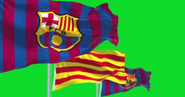 2022年5月 西班牙巴塞罗那 巴塞罗那足球俱乐部的两面旗帜在风中飘扬 中间的加泰罗尼亚旗与绿色背景隔离 无缝圈慢动作 绿色屏幕 — 图库视频影像