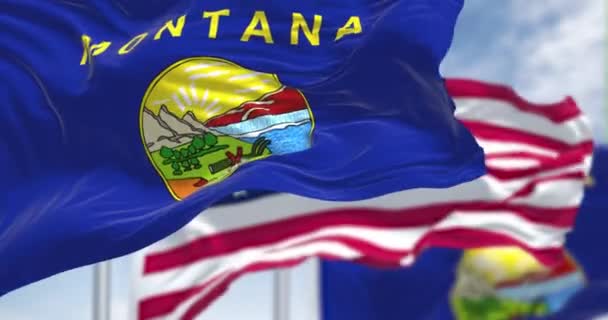 蒙大拿州的国旗与美国国旗一同飘扬 无缝圈慢动作 蒙大拿是美国西部的一个州 — 图库视频影像