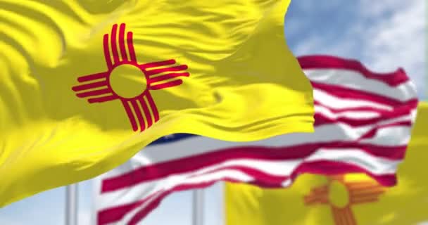 Bandera Del Estado Nuevo México Ondeando Junto Con Bandera Nacional — Vídeos de Stock