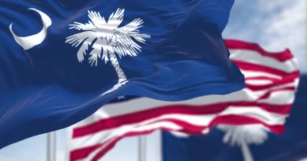 Bandera Del Estado Carolina Del Sur Ondeando Junto Con Bandera — Vídeos de Stock