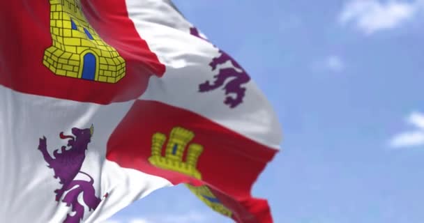 Kastilská Leonská Vlajka Vlající Větru Jasného Dne Kastilie Leon Autonomní — Stock video