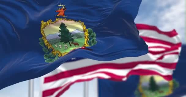 Bendera Negara Vermont Melambai Bersama Dengan Bendera Nasional Amerika Serikat — Stok Video