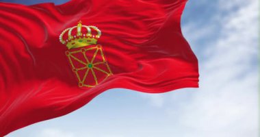 Açık bir günde rüzgarda dalgalanan Navarre bayrağı. Navarre İspanya 'nın otonom bölgelerinden biridir. Yavaş çekimde kusursuz döngü