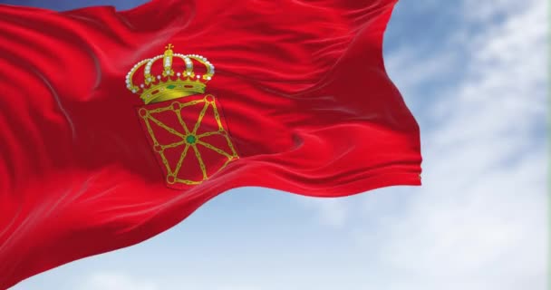 Navarre Flag Waving Wind Clear Day Navarre Autonomous Community Province — Stock Video