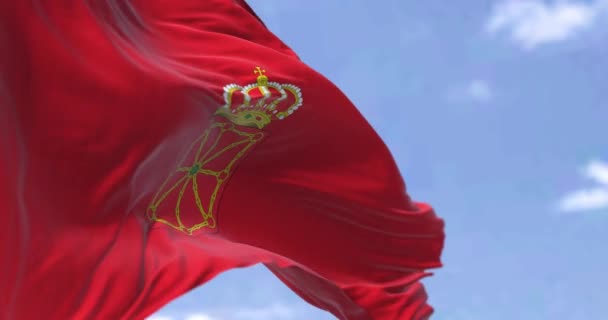 Bandeira Navarra Acenando Vento Dia Claro Navarra Uma Comunidade Província — Vídeo de Stock