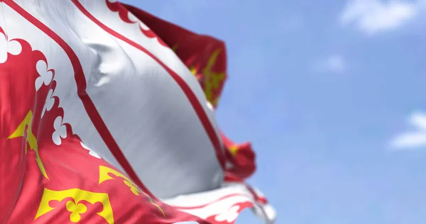 Вид Сзади Флаг Эльзаса Развевающийся Ветру Ясный День Эльзас Является — стоковое фото