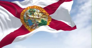 Florida eyalet bayrağı rüzgarda dalgalanıyor. Arka planda açık bir gökyüzü var. Florida, ABD 'nin güneydoğu bölgesinde bulunan bir eyalettir. Yavaş çekimde kusursuz döngü