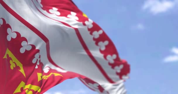 Pandangan Belakang Bendera Alsace Melambaikan Tangan Angin Pada Hari Yang — Stok Video