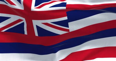 Hawaii eyaletinin bayrağı rüzgarda sallanıyor. Hawaii, Batı Amerika Birleşik Devletleri 'nde bir eyalettir. Demokrasi ve bağımsızlık.