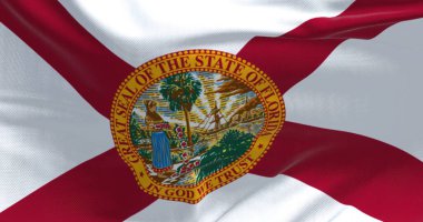 Florida eyaletinin bayrağı rüzgarda sallanıyor. Florida, ABD 'nin güneydoğu bölgesinde bulunan bir eyalettir. Demokrasi ve bağımsızlık.