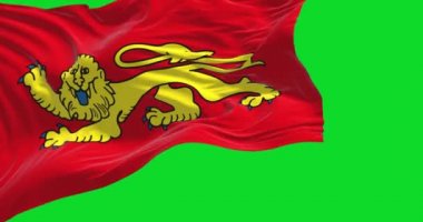 Rüzgarda dalgalanan Aquitaine bayrağı yeşil bir zeminde izole edilmiş. Aquitaine, Fransa 'nın güneybatısında tarihi bir bölgedir. Yavaş çekimde kusursuz döngü. Krom anahtar