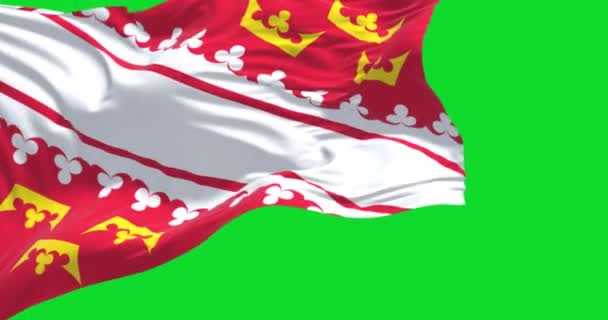 Alsace Flag Waving Isolated Green Background Alsace Cultural Region Territorial — Stockvideo